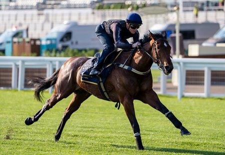 Picture of King's Stand Stakes