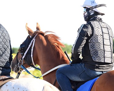 Red Route One Horse Profile BloodHorse