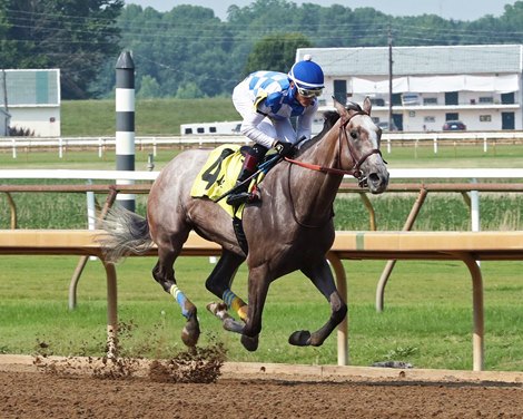 Hoosier Philly Brilliant in Monomoy Girl Stakes Victory
