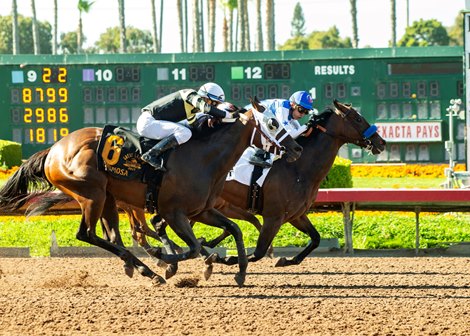 Los Alamitos Opens June 22 for Thoroughbred Meet - BloodHorse