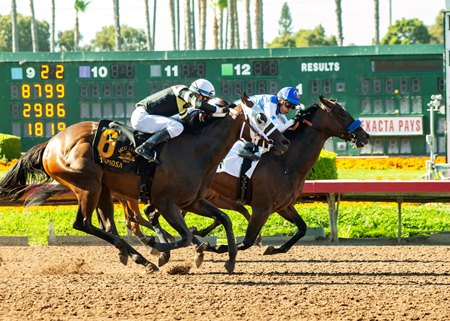 Eda wins the 2023 Great Lady M Stakes at Los Alamitos Race Course