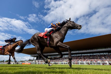 Auguste Rodin captures the Irish Derby at the Curragh