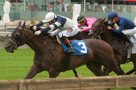 Dream Shake wins the Connaught Cup Stakes at Woodbine Racetrack