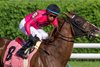 Channel Maker with jockey Manuel Franco pulled away from the field to win the 65th running of The Bowling Green at the Saratoga Race Course Sunday, July 30, 2023 in Saratoga Springs, N.Y. Photo  by Skip Dickstein