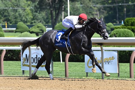 Crazy Mason - Horse Profile - BloodHorse