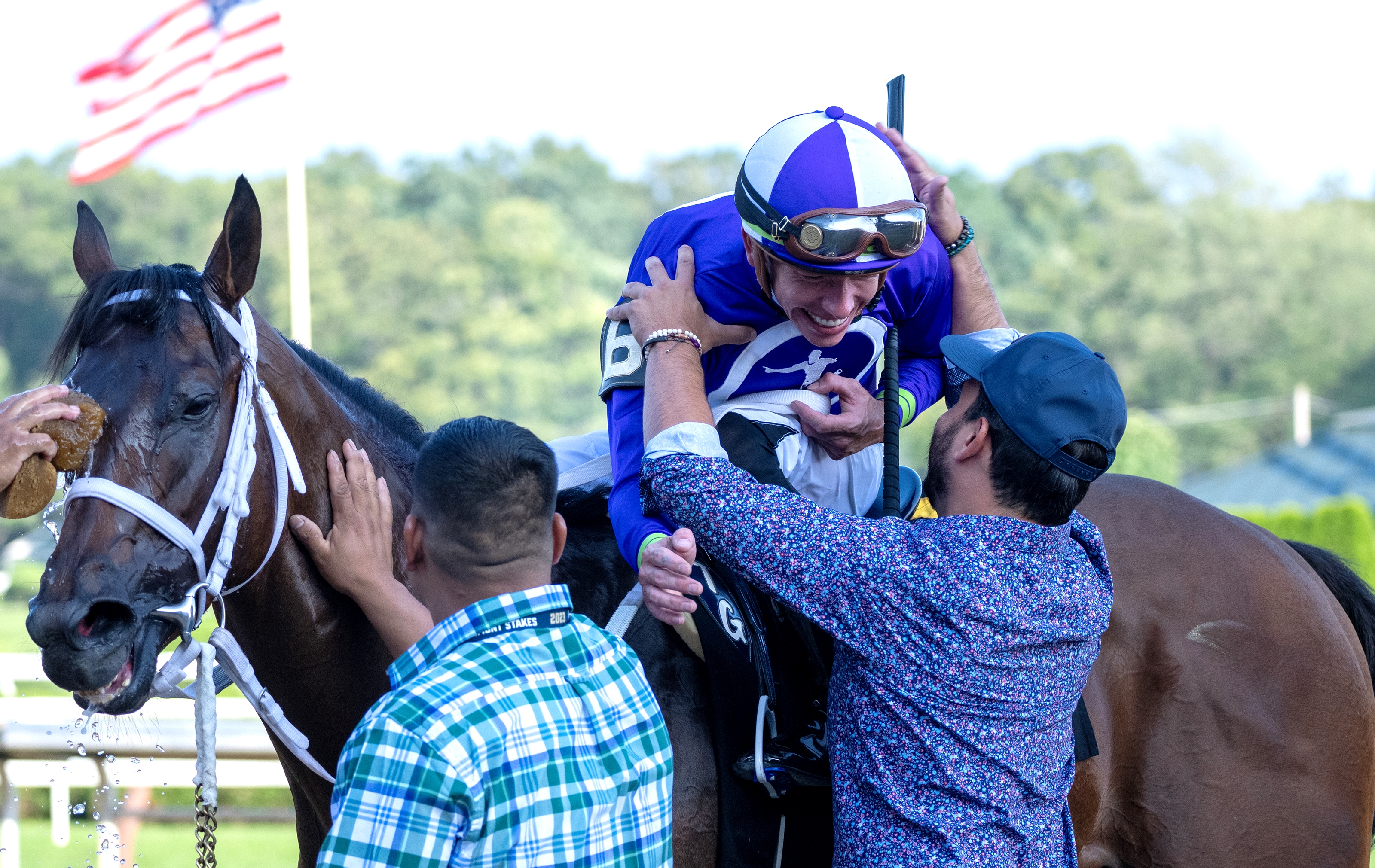 New York Thunder - Horse Profile - BloodHorse