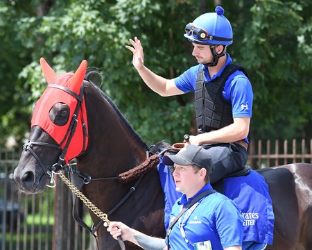 Rebel's Romance training at Saratoga Race Course