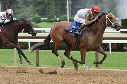 Caldwell Luvs Gold - Horse Profile - BloodHorse