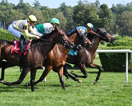 Faraday Maiden Win at Saratoga Race Course