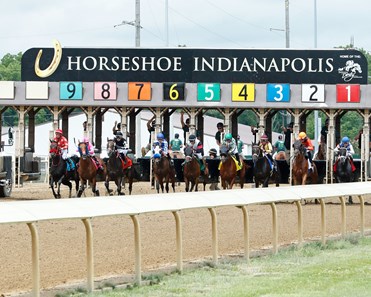 Soul of an Angel - Horse Profile - BloodHorse