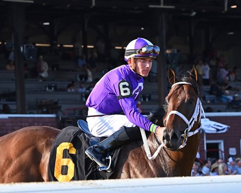 new york thunder horse accident today