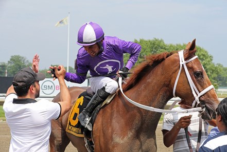 Miss New York - Horse Profile - BloodHorse