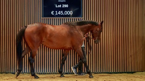 Raymond Sees Off Opposition to Land Top Lot at Arqana