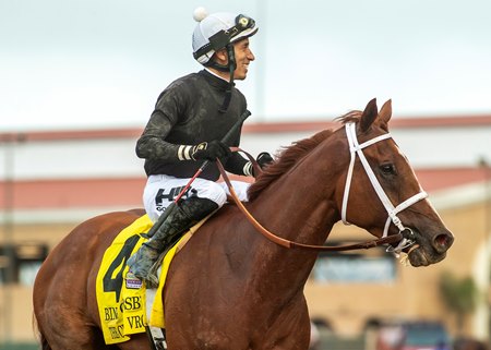 The Chosen Vron after his victory in the 2023 Bing Crosby Stakes at Del Mar