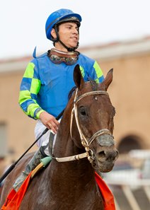 Geovanni Franco aboard Senor Buscador after a victory in the 2023 San Diego Handicap at Del Mar