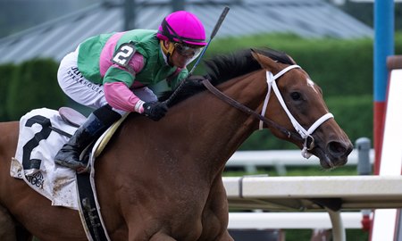 Becky's Joker wins the Schuylerville
