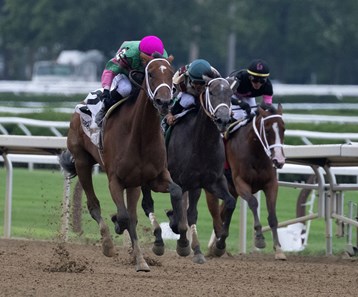 Becky's Joker - Horse Profile - BloodHorse