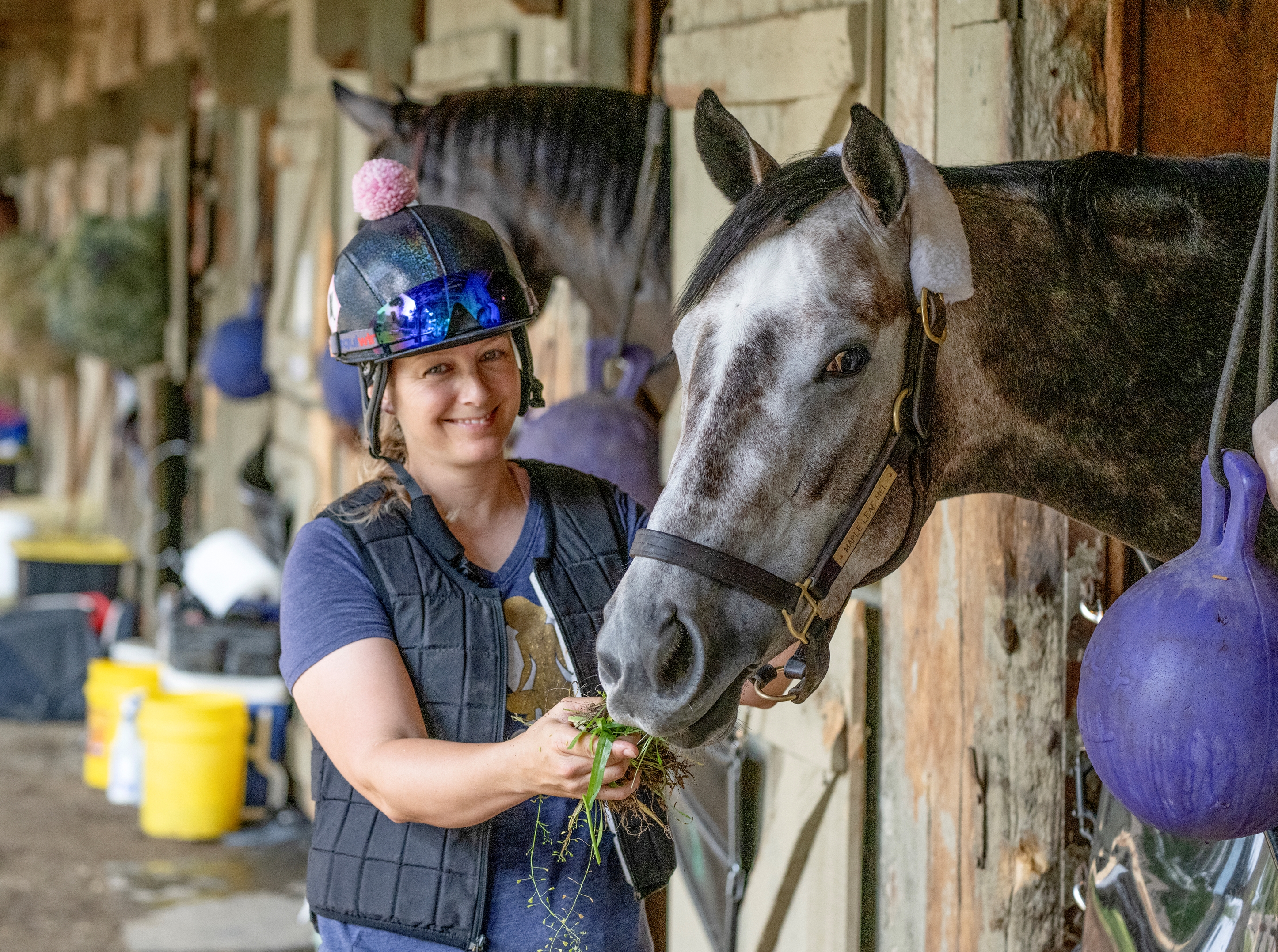 Maple Leaf Mel - Horse Profile - BloodHorse