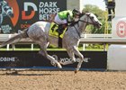 Jockey Rafael Hernandez guides Tyson to victory in the (Grade 2) $175,000 Seagram Cup Stakes. Tyson covered the 1 mi. 1/16 in 1.43.1 for owners Hill &#39;n&#39; Dale Equine Holdings Inc and Stretch Run Ventures LLC and trained by Josie Carroll.