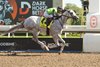 Jockey Rafael Hernandez guides Tyson to victory in the (Grade 2) $175,000 Seagram Cup Stakes. Tyson covered the 1 mi. 1/16 in 1.43.1 for owners Hill &#39;n&#39; Dale Equine Holdings Inc and Stretch Run Ventures LLC and trained by Josie Carroll.