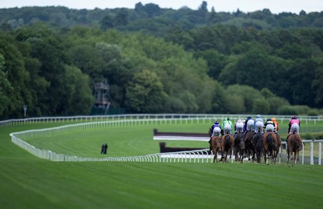 Ascot, Victoria Racing Club Sign New Partnership