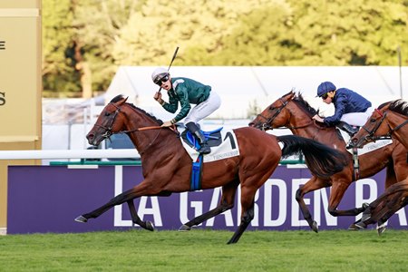 Feed The Flame takes the Grand Prix de Paris at Longchamp
