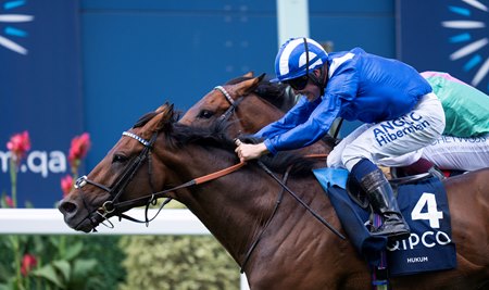 Hukum stretches over the line to defeat Westover in the King George VI and Queen Elizabeth Stakes in July at Ascot Racecourse