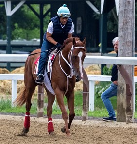 Mage stretches his legs on the Oklahoma Training Track at Saratoga Race Course