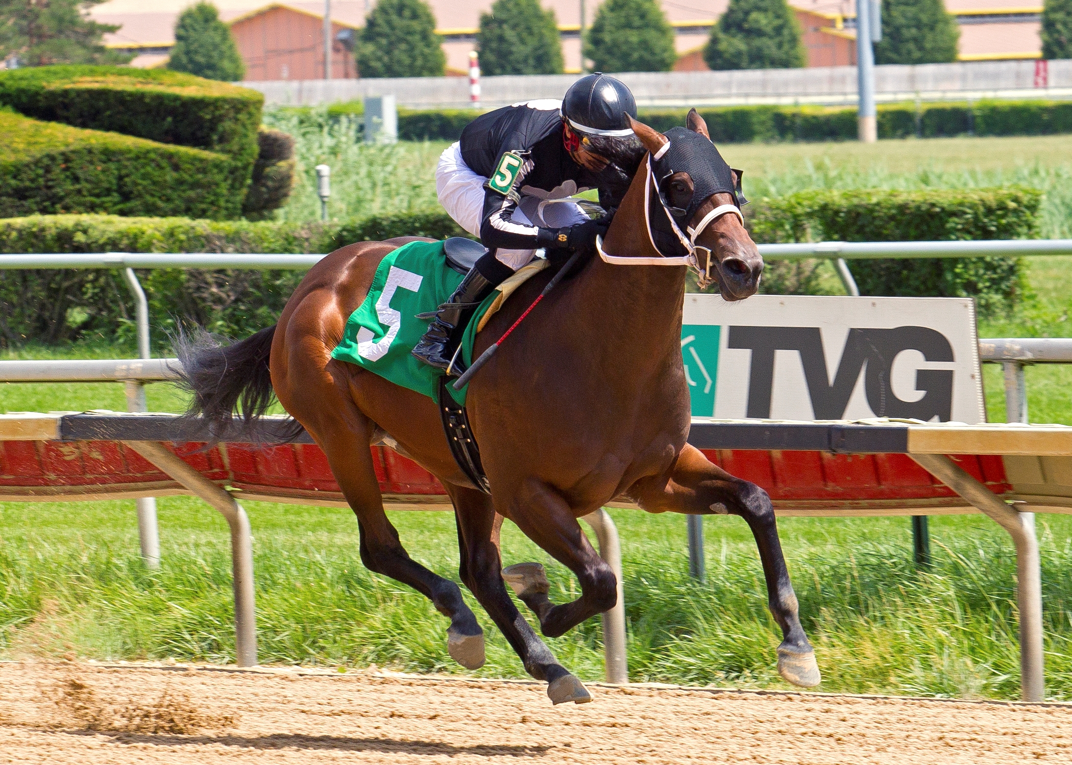 Dorothy Crowfoot First Winner for Audible - BloodHorse