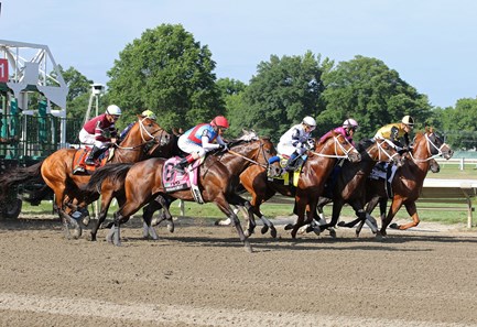 Geaux Rocket Ride - Horse Profile - BloodHorse