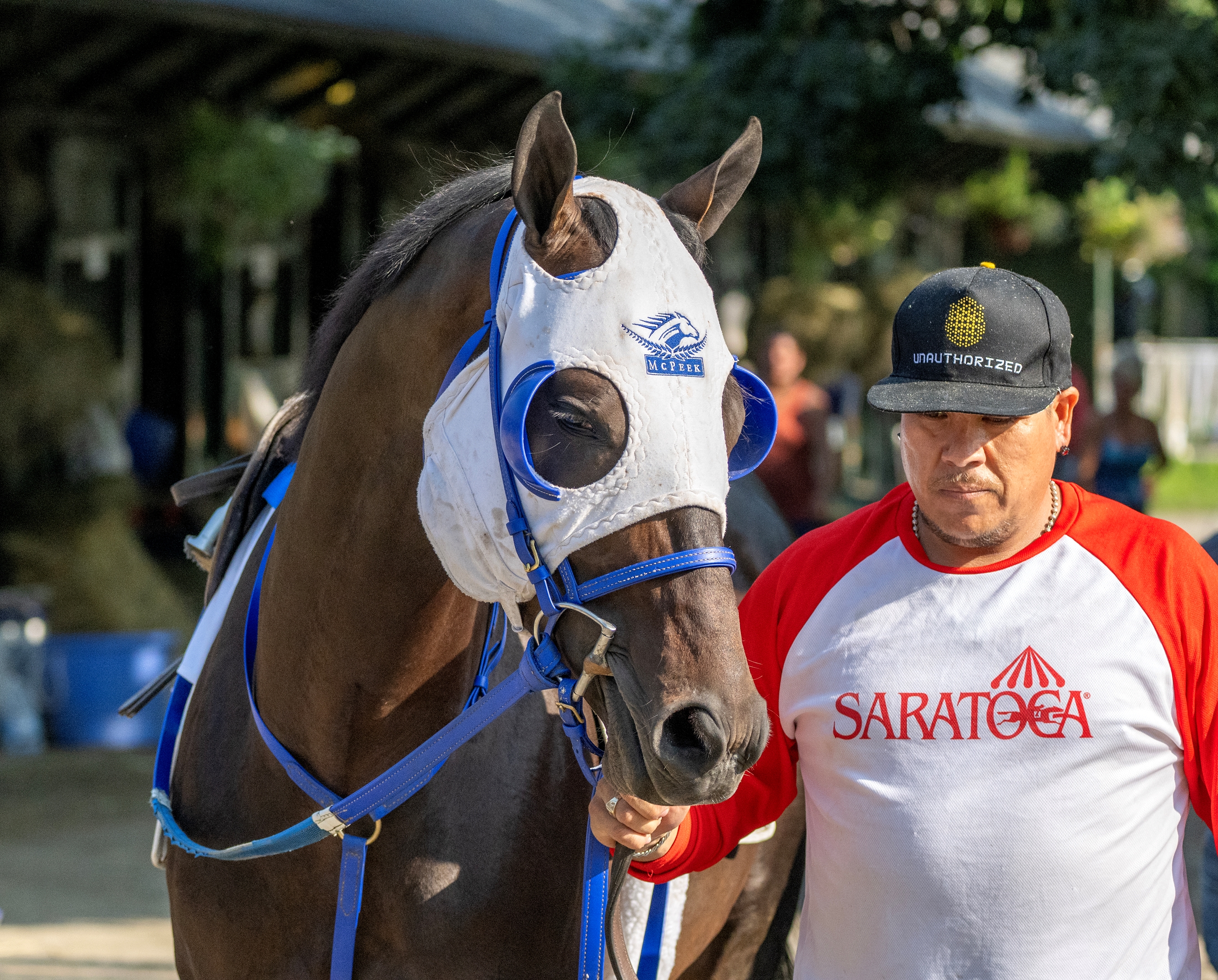 Smile Happy - Horse Profile - BloodHorse