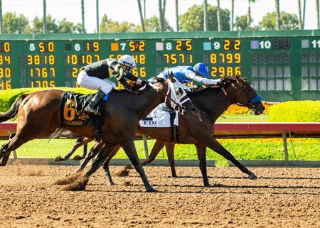 Eda winning the 2023 Great Lady M. Stakes at Los Alamitos Race Course