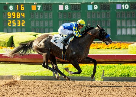 Reincarnate wins the 2023 Los Alamitos Derby