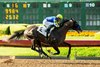 Reincarnate and jockey Juan Hernandez win the $125,000 Los Alamitos Derby, Saturday, July 8, 2023 at Los Alamitos Race Course, Cypress CA. &#169; BENOIT PHOTO