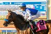 Jockey Juan Hernandez guides Eda to the winner&#39;s circle after their victory in the Grade III, $125,000 Rancho Bernardo Handicap, Sunday, August 27, 2023 at Del Mar Thoroughbred Club, Del Mar CA.
&#169; BENOIT PHOTO