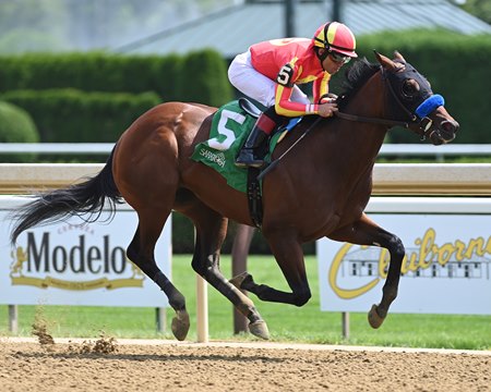 Tall Paul's impressive Maiden win at Saratoga Racecourse