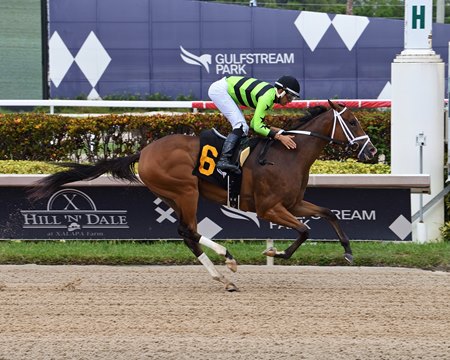 Let Them Watch wins the Sharp Susan Stakes at Gulfstream Park