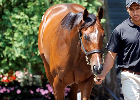 Ryan Follows Up Opening Session With $1.1M Purchase - BloodHorse