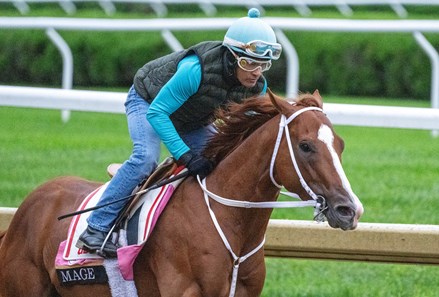 Kentucky Derby pedigree profile: Honor Marie