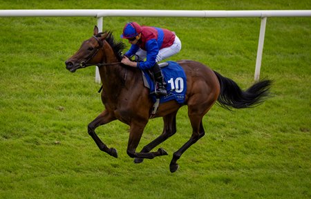 Cherry Blossom breaks her maiden at the Curragh