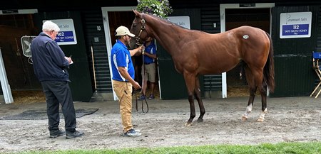 Nick Zito, Scenics,  2023 Fasig-Tipton Saratoga  Selected Yearling Sale