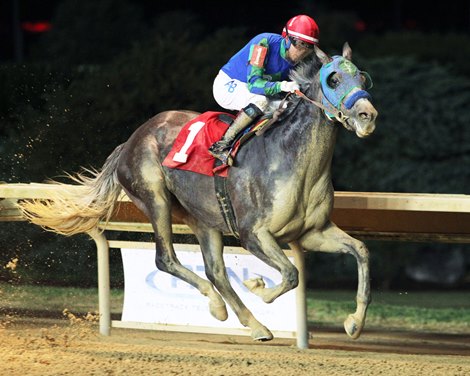 No Contest For Coastal Mission in WV Breeders’ Classic