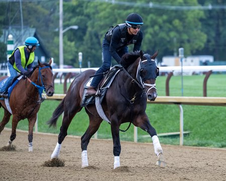 Forte trains at Saratoga Race Course