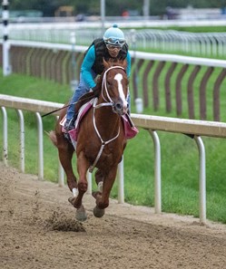 Kentucky Derby pedigree profile: Honor Marie