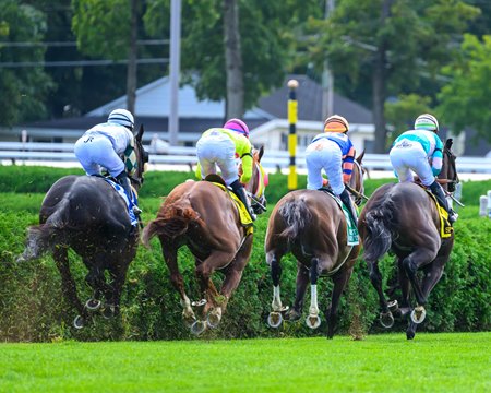 Turf racing at Saratoga Race Course