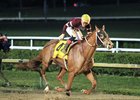 In the Mineshaft Stakes at Fair Grounds Race Course Red Route One will look for his first victory since last year&#39;s West Virginia Derby
