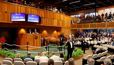 The Into Mischief colt consigned as Hip 135 in the ring at the Fasig-Tipton Saratoga Sale