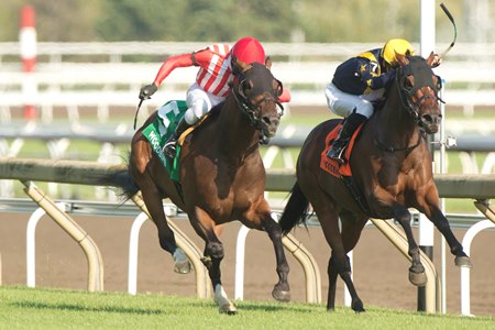 War Bomber (left) wins a stretch-long duel in the 2023 King Edward Stakes at Woodbine