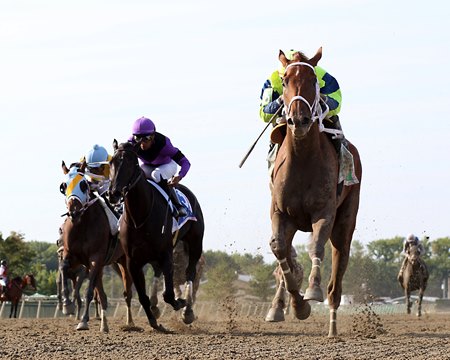 Foggy Night wins the Cathryn Sophia Stakes at Parx Racing