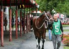 New York Thunder in the paddock at Saratoga on August 26, 2023. Photo By: Chad B. Harmon